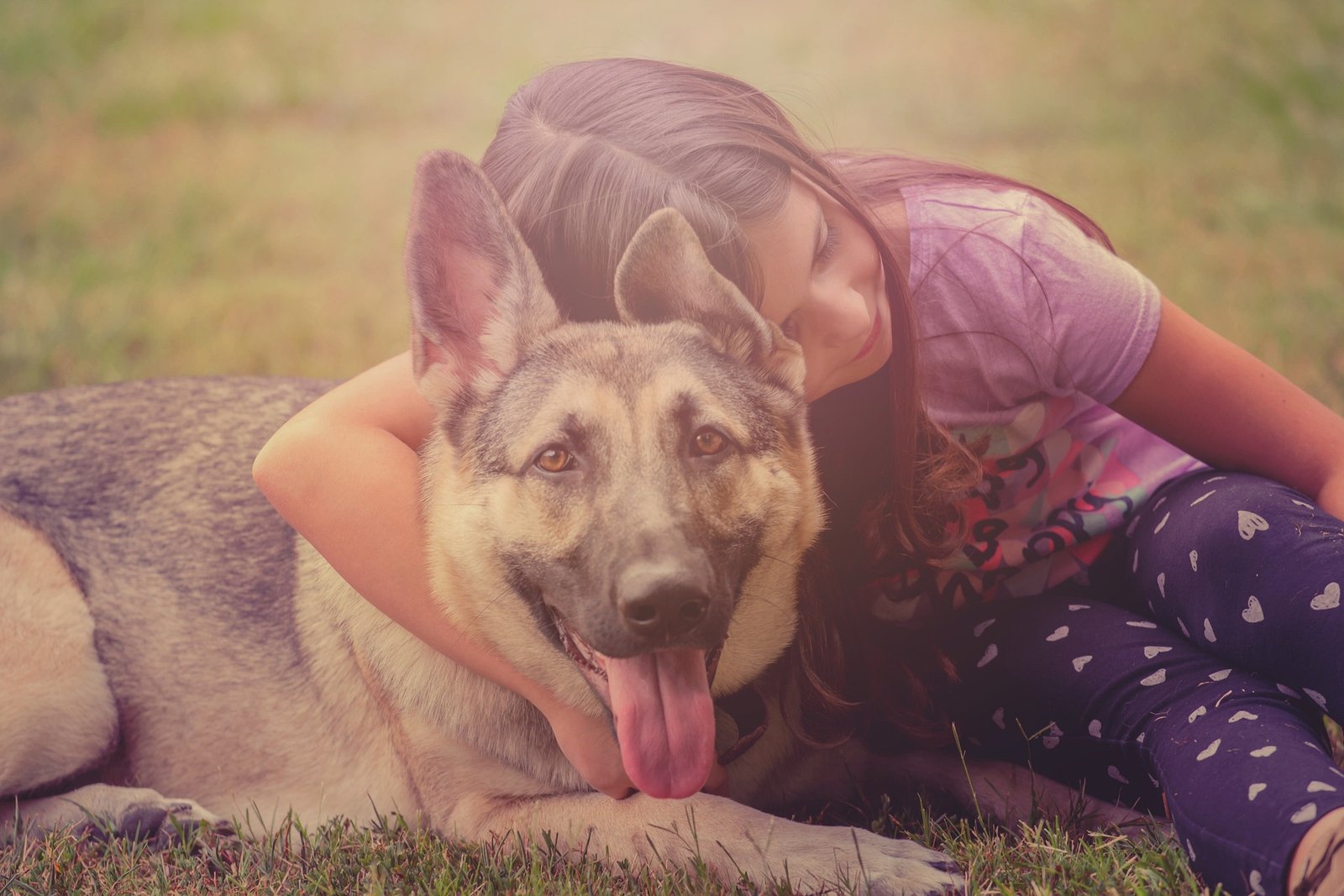 a german shepherd with a girl - german shepherds
